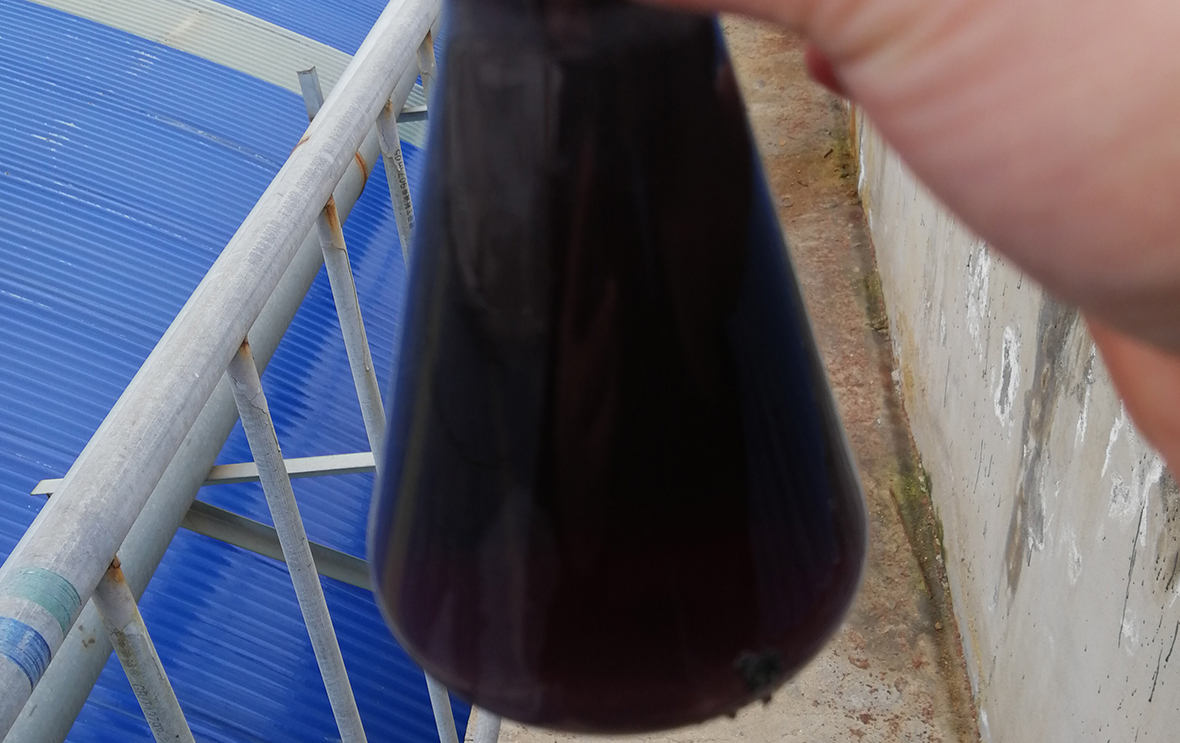 處(chu)理過程(cheng)